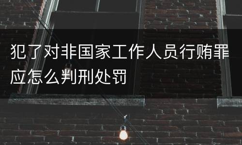 犯了对非国家工作人员行贿罪应怎么判刑处罚
