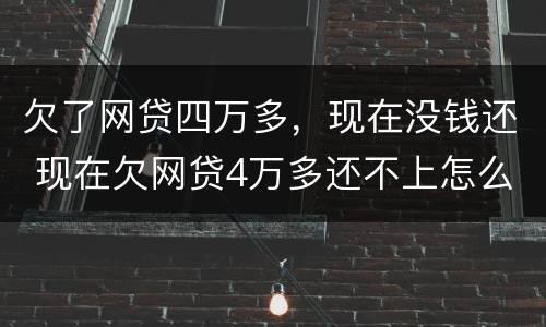 欠了网贷四万多，现在没钱还 现在欠网贷4万多还不上怎么办