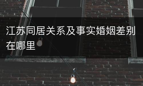 江苏同居关系及事实婚姻差别在哪里