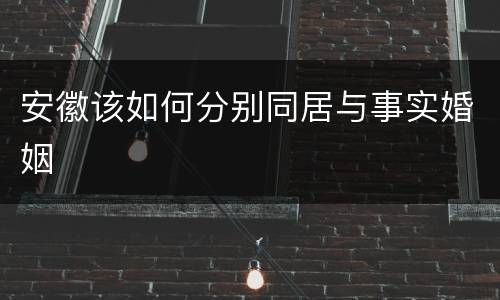 安徽该如何分别同居与事实婚姻