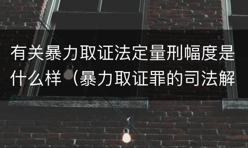 有关暴力取证法定量刑幅度是什么样（暴力取证罪的司法解释）