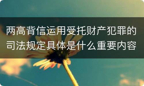 两高背信运用受托财产犯罪的司法规定具体是什么重要内容