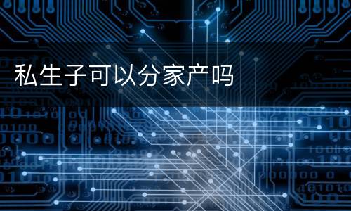 私生子可以分家产吗
