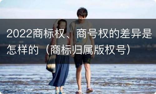 2022商标权、商号权的差异是怎样的（商标归属版权号）