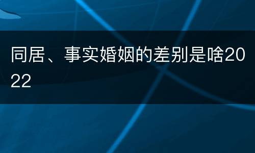 同居、事实婚姻的差别是啥2022
