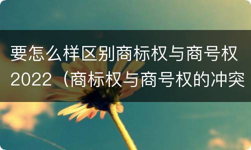 要怎么样区别商标权与商号权2022（商标权与商号权的冲突以及解决）