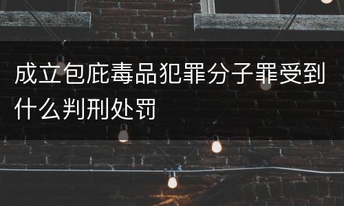 成立包庇毒品犯罪分子罪受到什么判刑处罚