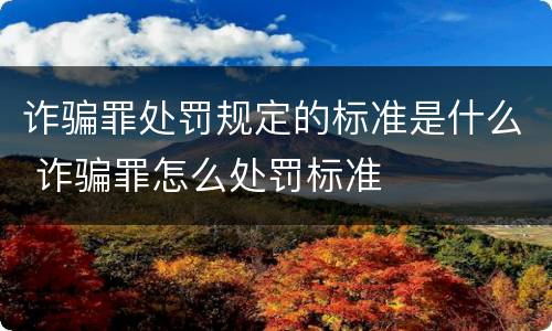 诈骗罪处罚规定的标准是什么 诈骗罪怎么处罚标准
