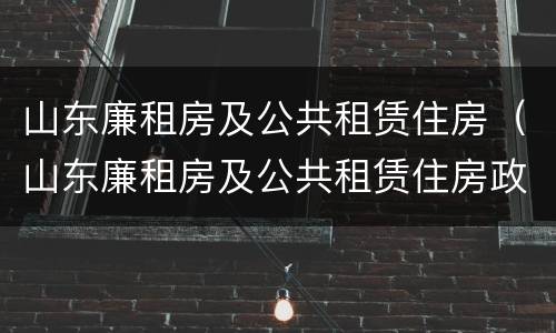 山东廉租房及公共租赁住房（山东廉租房及公共租赁住房政策）