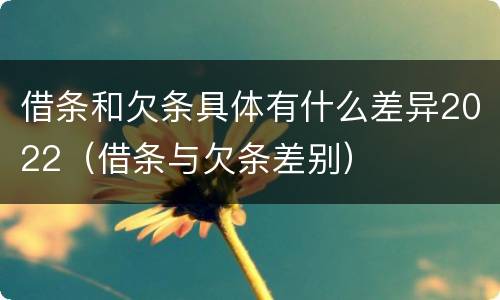 借条和欠条具体有什么差异2022（借条与欠条差别）