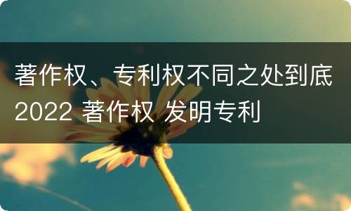 著作权、专利权不同之处到底2022 著作权 发明专利