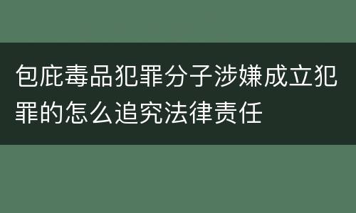 包庇毒品犯罪分子涉嫌成立犯罪的怎么追究法律责任