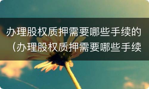 办理股权质押需要哪些手续的（办理股权质押需要哪些手续的材料）