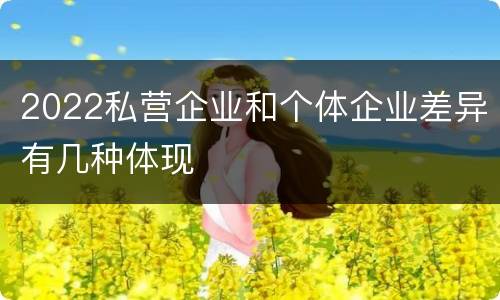 2022私营企业和个体企业差异有几种体现