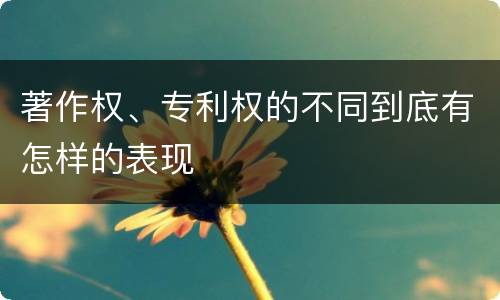 著作权、专利权的不同到底有怎样的表现