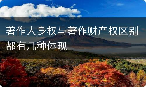著作人身权与著作财产权区别都有几种体现