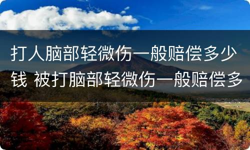 打人脑部轻微伤一般赔偿多少钱 被打脑部轻微伤一般赔偿多少钱
