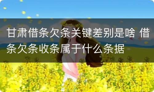 甘肃借条欠条关键差别是啥 借条欠条收条属于什么条据