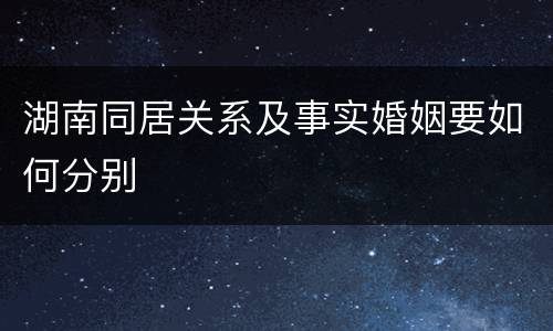 湖南同居关系及事实婚姻要如何分别
