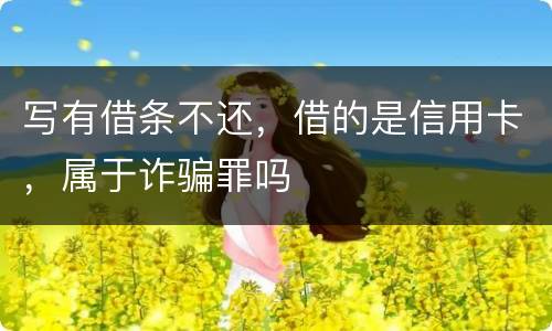 写有借条不还，借的是信用卡，属于诈骗罪吗