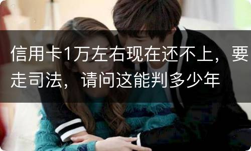 信用卡1万左右现在还不上，要走司法，请问这能判多少年