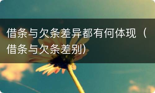 借条与欠条差异都有何体现（借条与欠条差别）