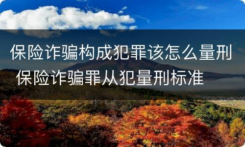保险诈骗构成犯罪该怎么量刑 保险诈骗罪从犯量刑标准