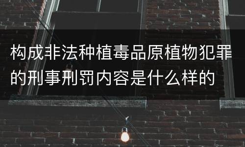 构成非法种植毒品原植物犯罪的刑事刑罚内容是什么样的