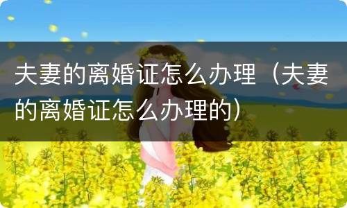 夫妻的离婚证怎么办理（夫妻的离婚证怎么办理的）