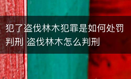 犯了盗伐林木犯罪是如何处罚判刑 盗伐林木怎么判刑