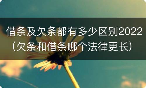 借条及欠条都有多少区别2022（欠条和借条哪个法律更长）