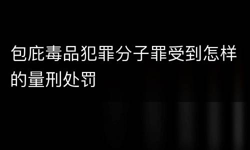 包庇毒品犯罪分子罪受到怎样的量刑处罚
