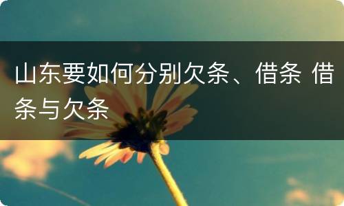 山东要如何分别欠条、借条 借条与欠条