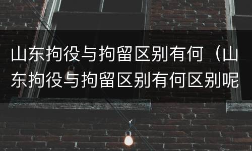 山东拘役与拘留区别有何（山东拘役与拘留区别有何区别呢）