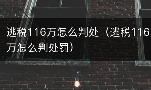 逃税116万怎么判处（逃税116万怎么判处罚）
