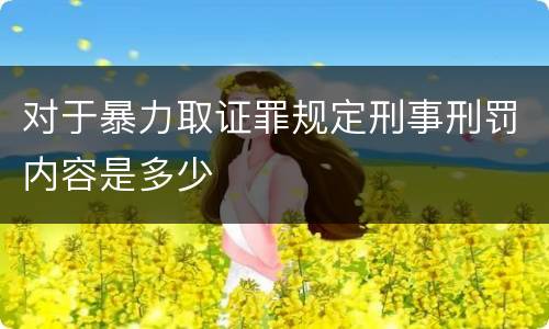 对于暴力取证罪规定刑事刑罚内容是多少