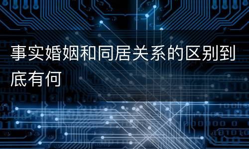 事实婚姻和同居关系的区别到底有何
