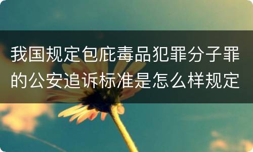 我国规定包庇毒品犯罪分子罪的公安追诉标准是怎么样规定