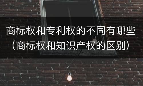商标权和专利权的不同有哪些（商标权和知识产权的区别）