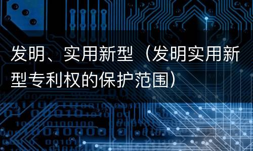 发明、实用新型（发明实用新型专利权的保护范围）