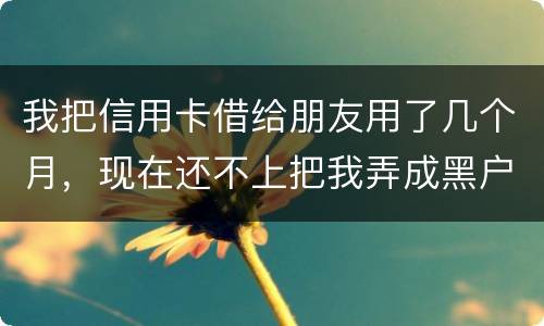 我把信用卡借给朋友用了几个月，现在还不上把我弄成黑户了怎么办？信用卡面额40万