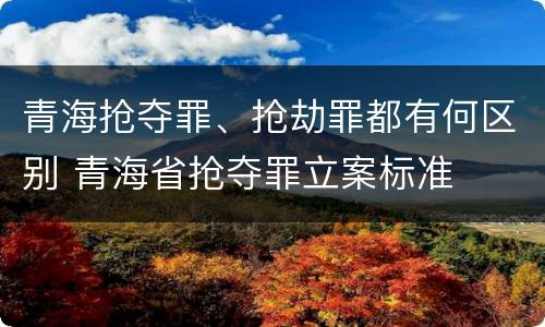青海抢夺罪、抢劫罪都有何区别 青海省抢夺罪立案标准