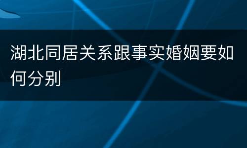 湖北同居关系跟事实婚姻要如何分别