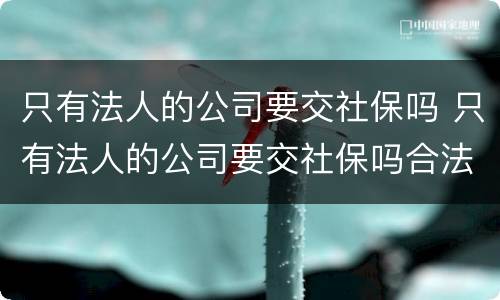 只有法人的公司要交社保吗 只有法人的公司要交社保吗合法吗