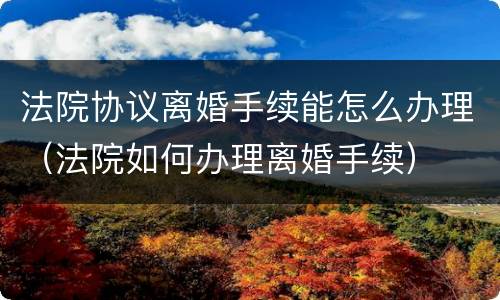 法院协议离婚手续能怎么办理（法院如何办理离婚手续）