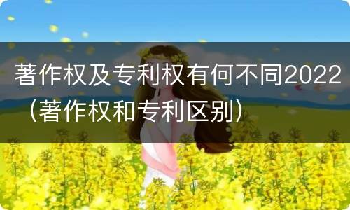 著作权及专利权有何不同2022（著作权和专利区别）