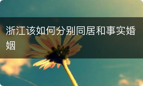 浙江该如何分别同居和事实婚姻