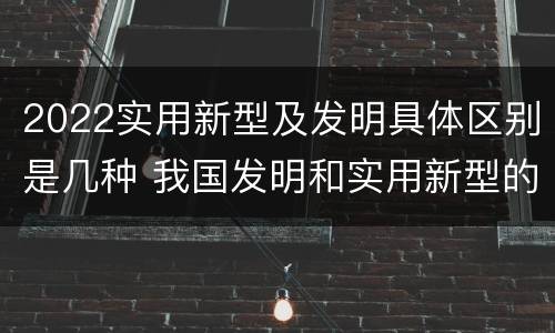 2022实用新型及发明具体区别是几种 我国发明和实用新型的标准