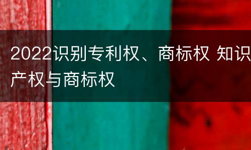 2022识别专利权、商标权 知识产权与商标权