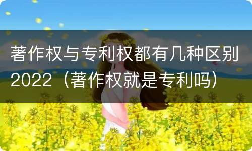 著作权与专利权都有几种区别2022（著作权就是专利吗）